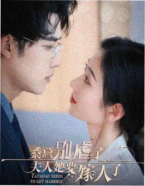 沈砚角色卡片：温室结构设计师